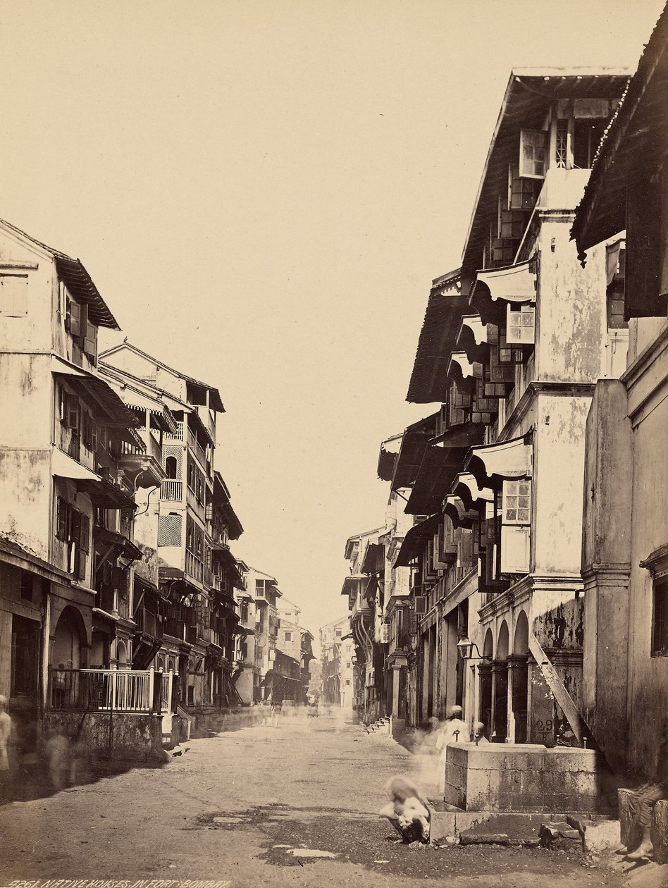 Inheemse huizen in het fort, Bombay door Francis Frith