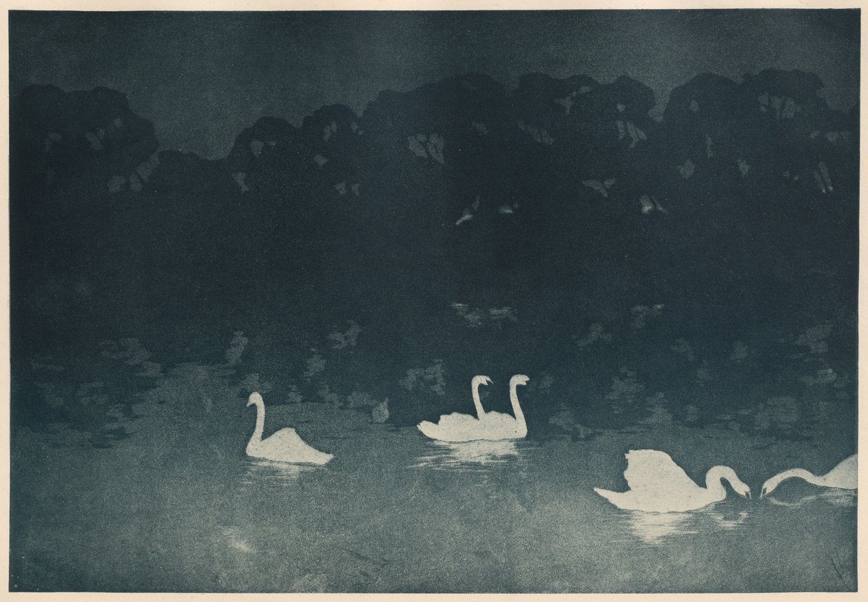 De Zwanen door Francis Jourdain