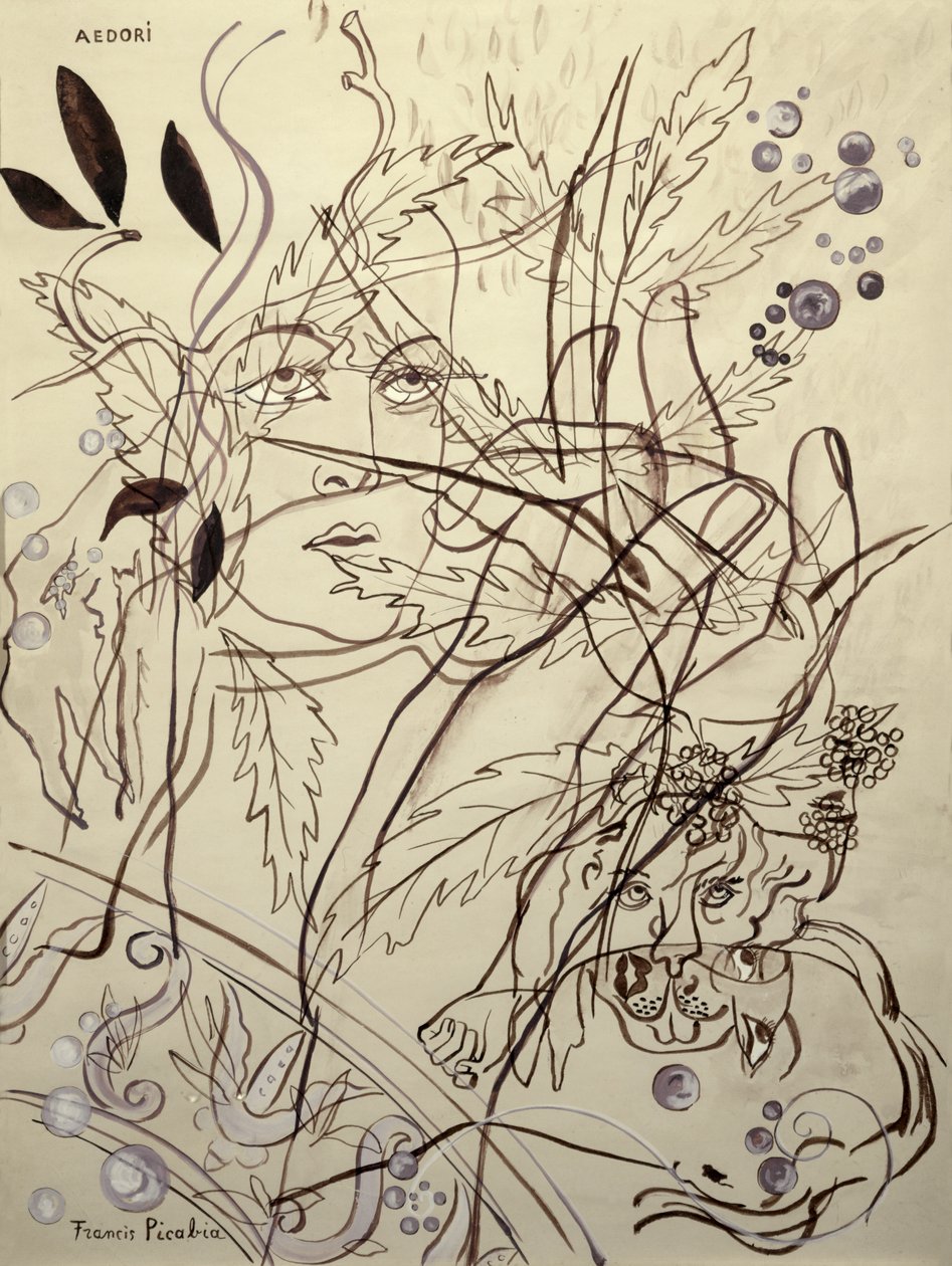 Aedori door Francis Picabia