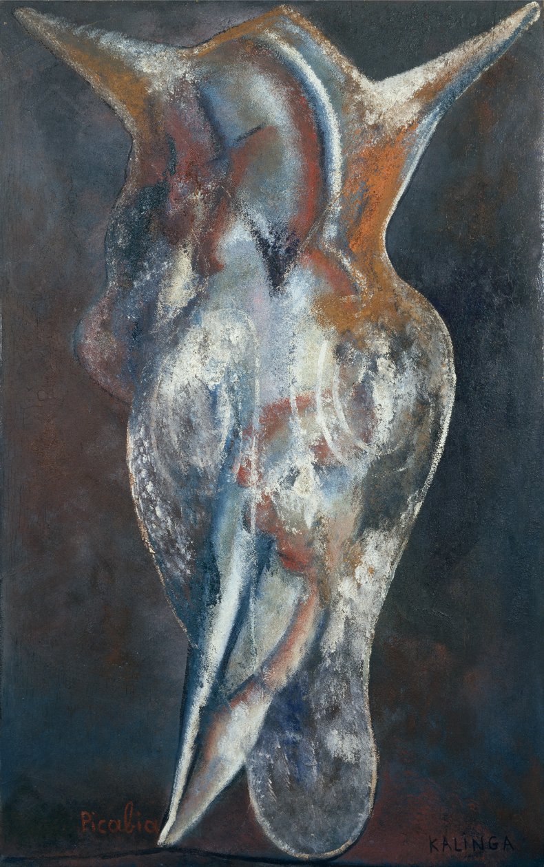 Kalinga door Francis Picabia