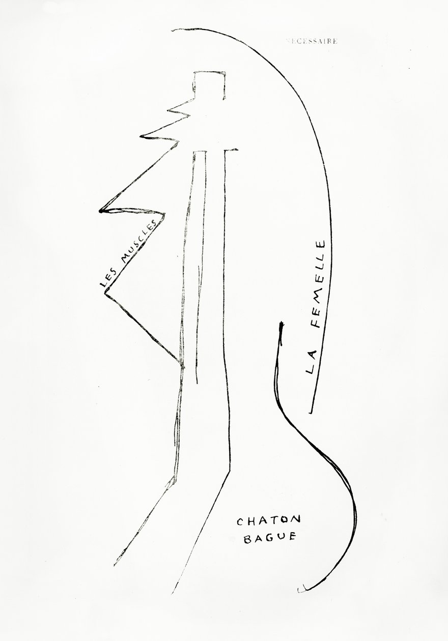 Poemes et Dessins de la Fille nee sans Mere, nr.23, uitgegeven door Imprimeries Reunies, Lausanne door Francis Picabia