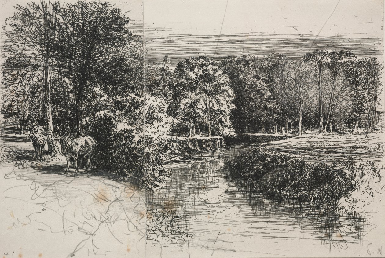 Dundrum River en de twee ezels door Francis Seymour Haden
