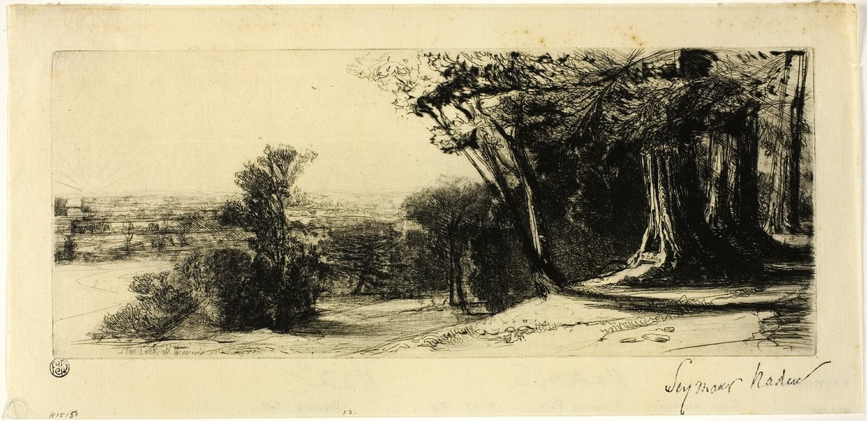 Vroege ochtend, Richmond Park door Francis Seymour Haden