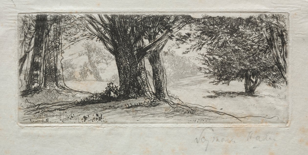 Hulstveld door Francis Seymour Haden