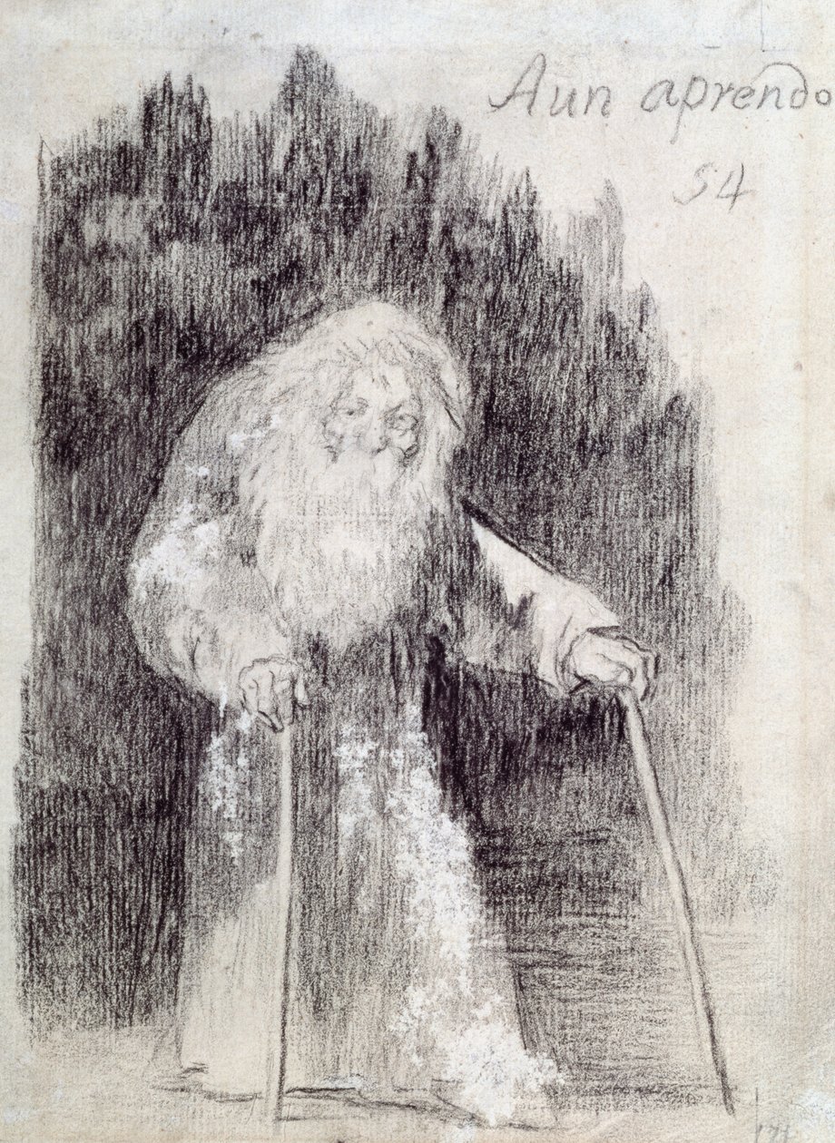 Ik leer nog steeds (Aun Aprendo) door Francisco de Goya