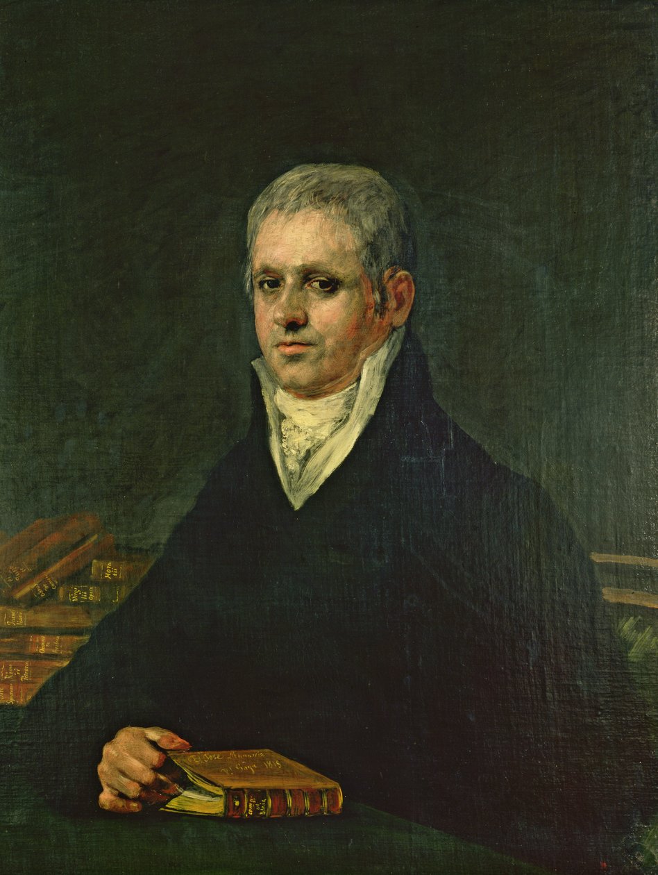 Portret van Don Jose Munarriz, 1815 door Francisco de Goya