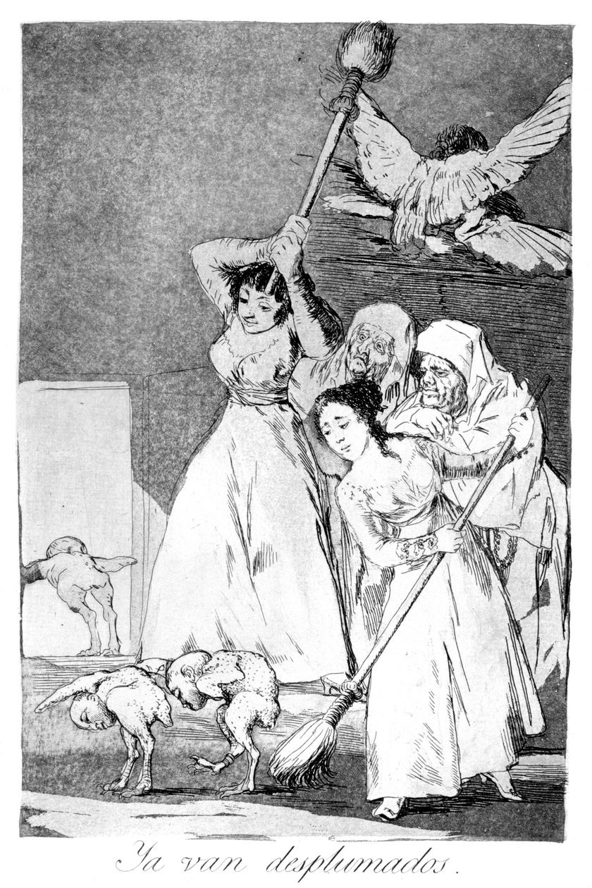 Daar gaan ze, geplukt door Francisco de Goya