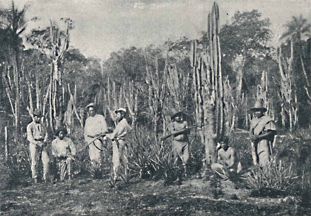 Campos, 1895 door Francisco Henszler