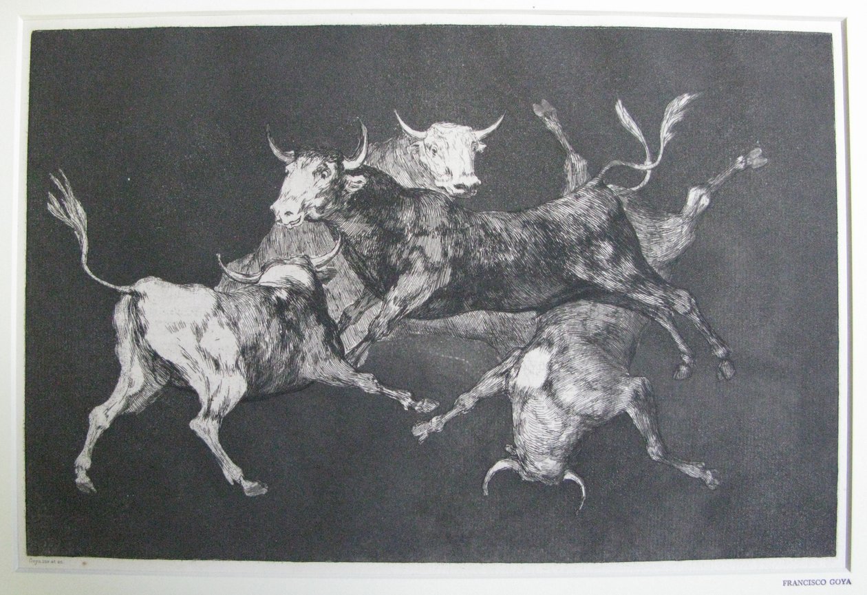 Dwaasheid van Dwazen door Francisco Jose de Goya y Lucientes