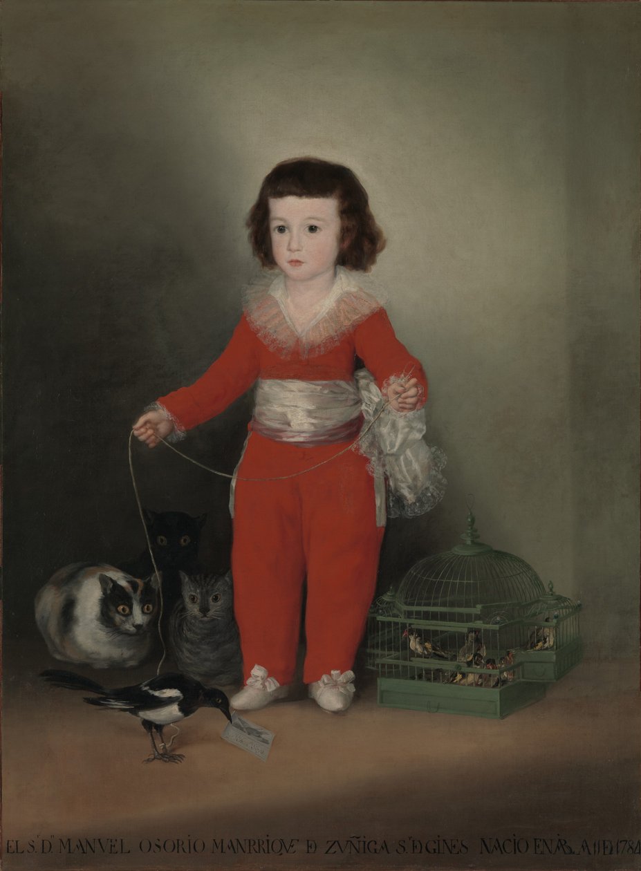 Don Manuel Osorio Manrique de Zuniga (1784-92) door Francisco de Goya