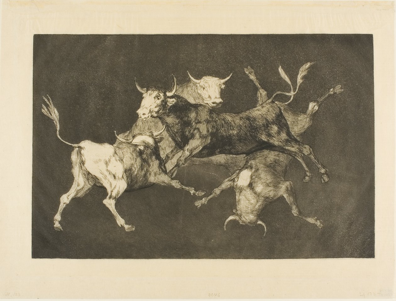 Dwaasheid van de Dwaas, uit Disparates door Francisco Jose de Goya y Lucientes