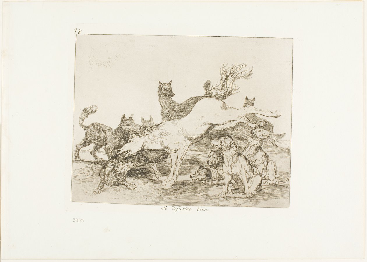 Hij Verdedigt Zich Goed, plaat 78 uit De Rampen van de Oorlog door Francisco Jose de Goya y Lucientes