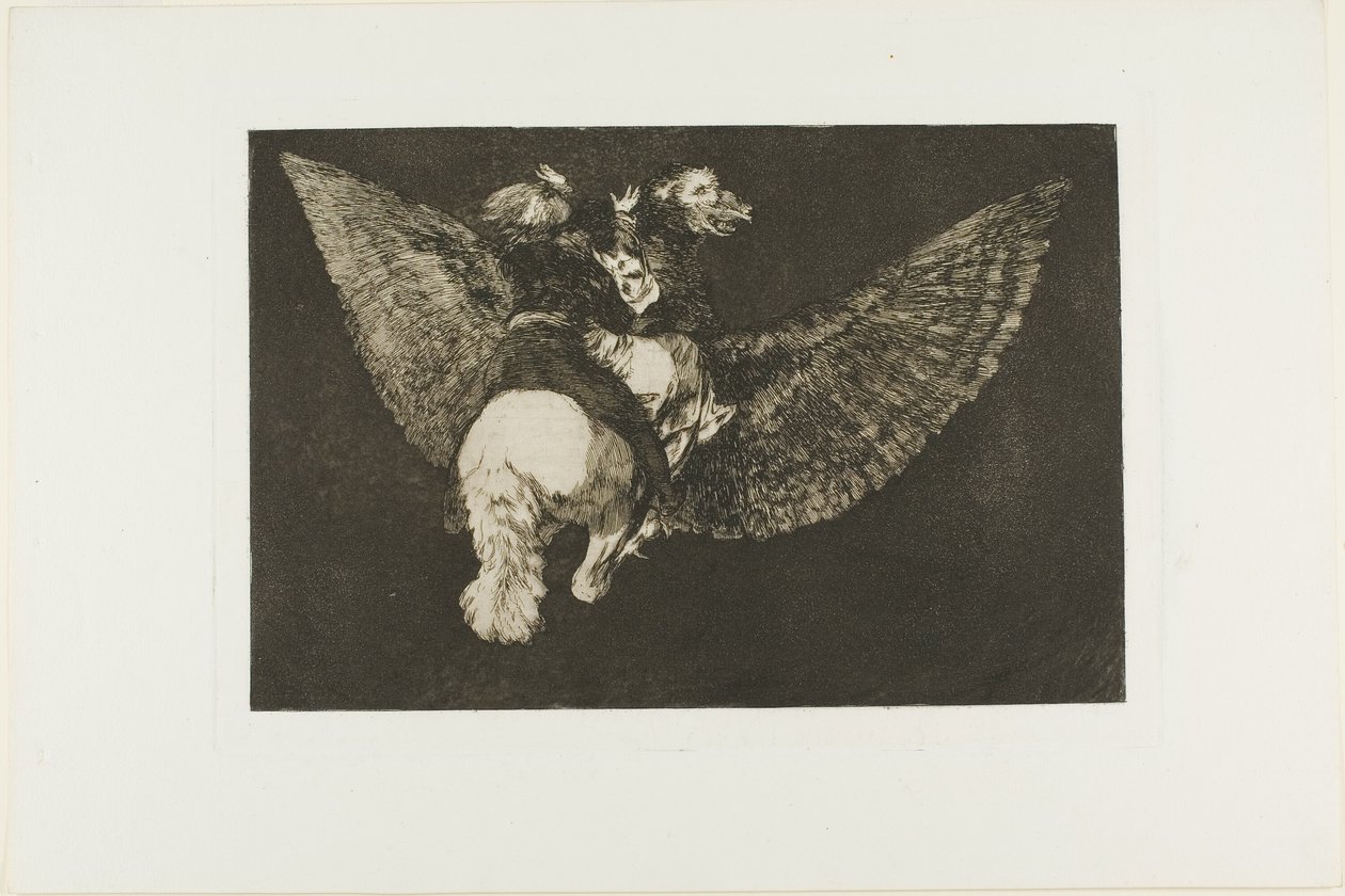 Verlaat de Vriend Die Je Bedekt met Zijn Vleugels en Je Bijt met Zijn Snavel, plaat vijf uit Los Proverbios door Francisco Jose de Goya y Lucientes