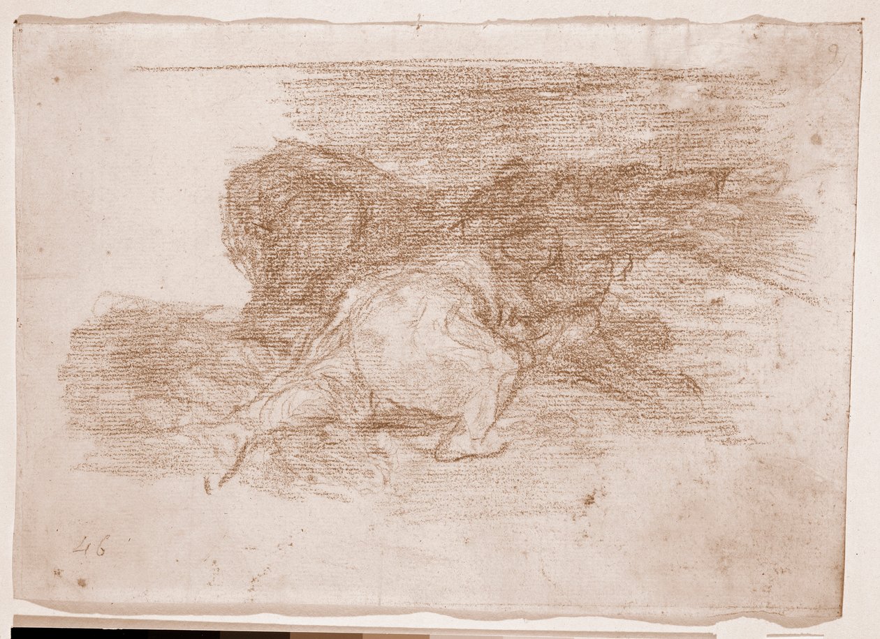 De rampen van de oorlog: Hij plukt er wat vruchten van (voorbereidende tekening) door Francisco de Goya