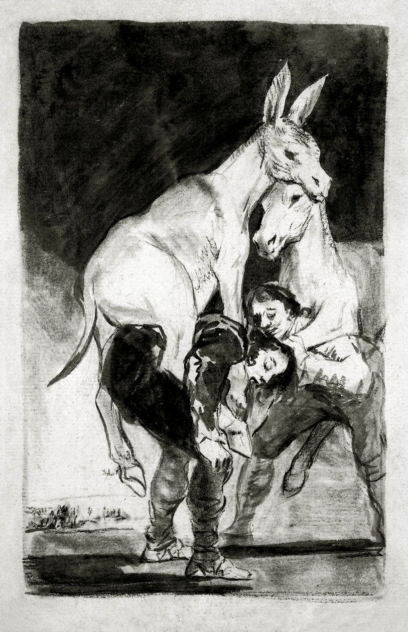 Gij die niet kunt (Tu que no puedes) door Francisco de Goya