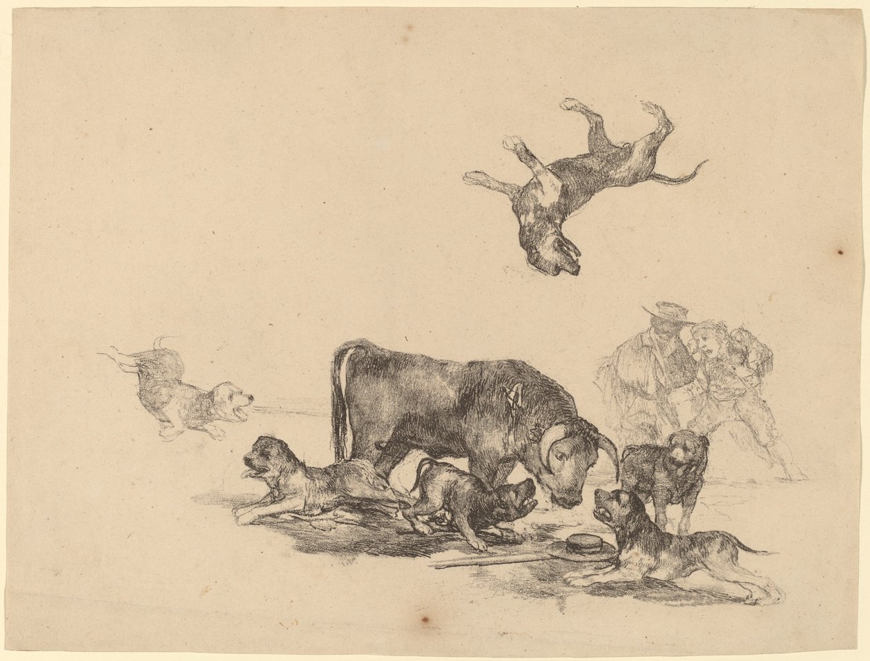 Stier Aangevallen door Honden door Francisco de Goya
