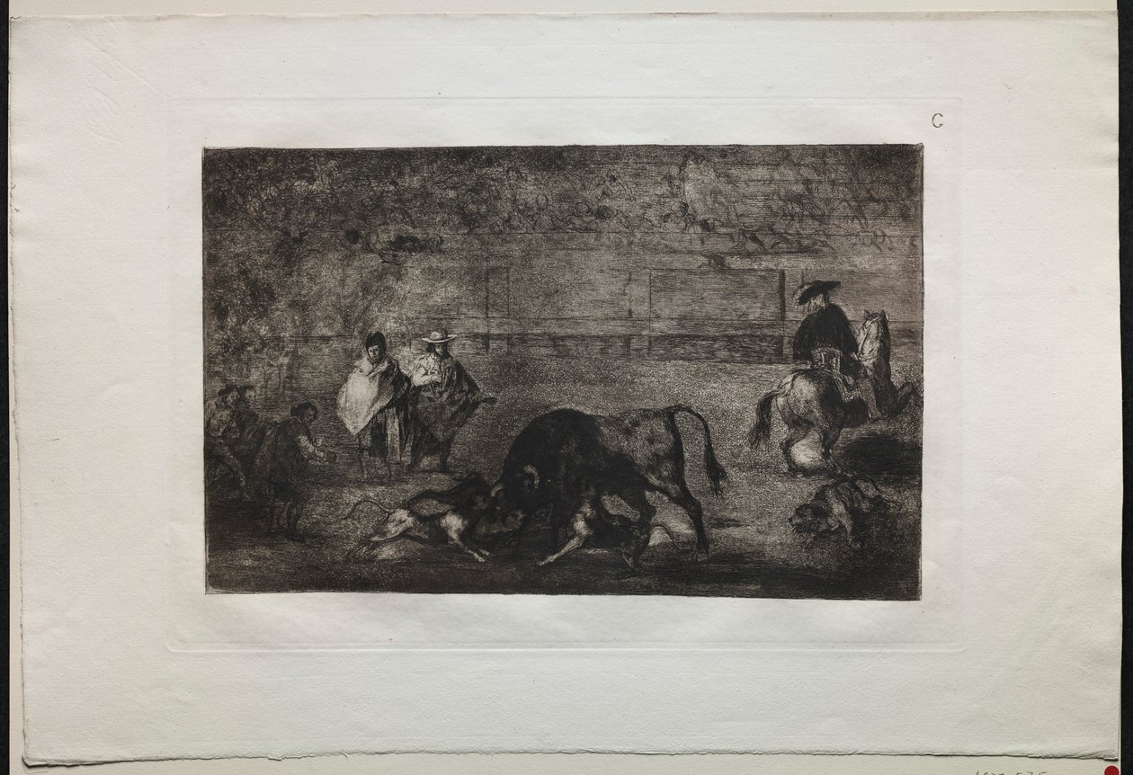 Stierengevechten: De hond losgelaten op de stier, 1876 door Francisco de Goya