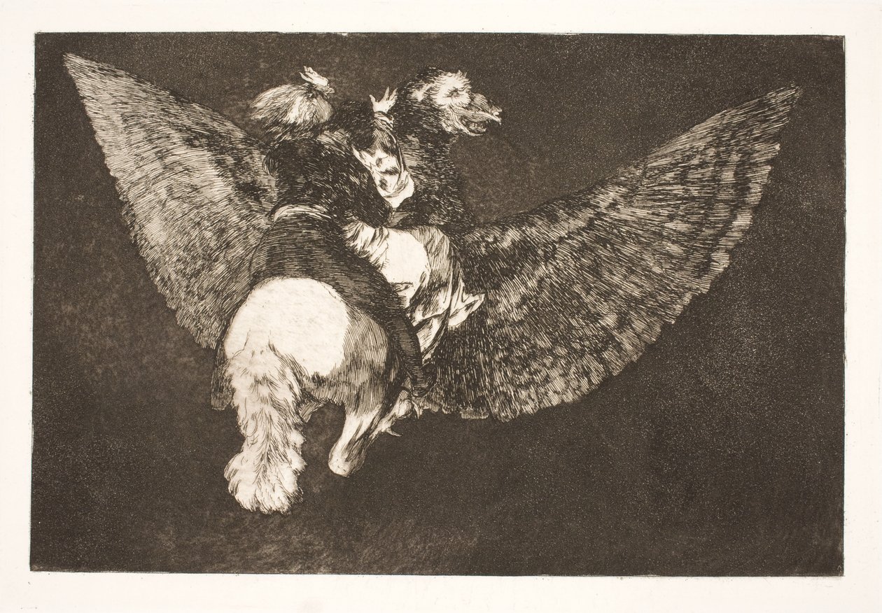 Den flyvende dårskab (Geef de vriend op die je onder zijn vleugels verbergt en je met zijn snavel bijt) door Francisco de Goya