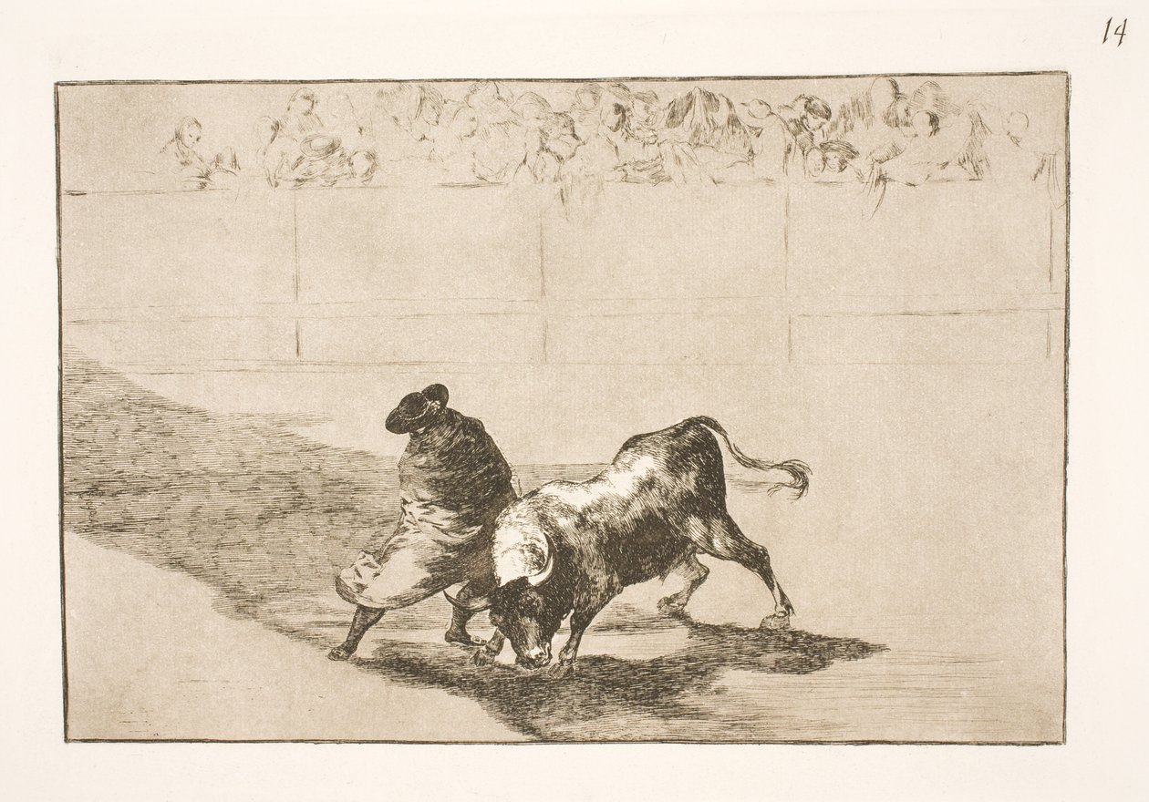 De zeer getalenteerde leerling uit Falces, gehuld in zijn mantel, misleidt de stier met zijn lichaamsbewegingen door Francisco de Goya
