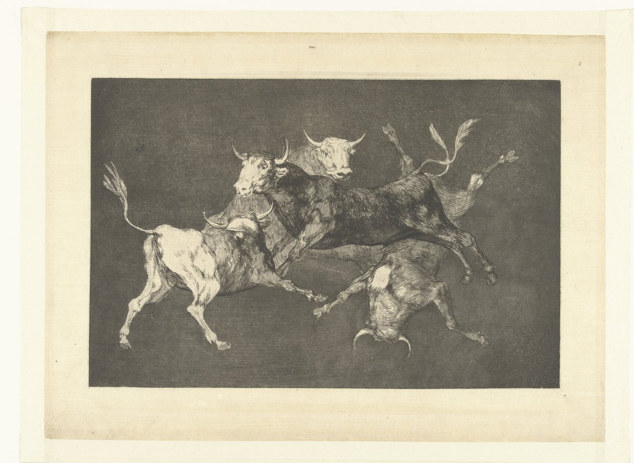 Dwaasheid van de kleine stieren door Francisco de Goya