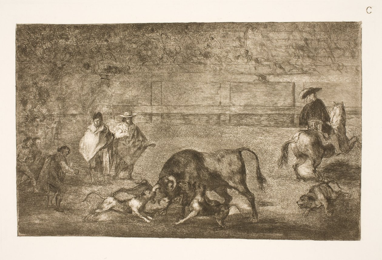 De honden worden op de stier losgelaten door Francisco de Goya