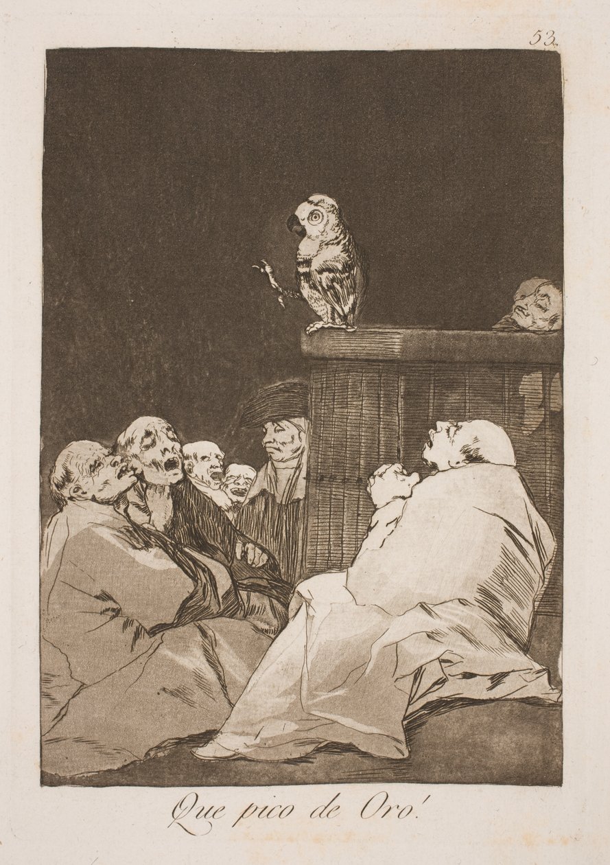 Wat een gouden snavel door Francisco de Goya