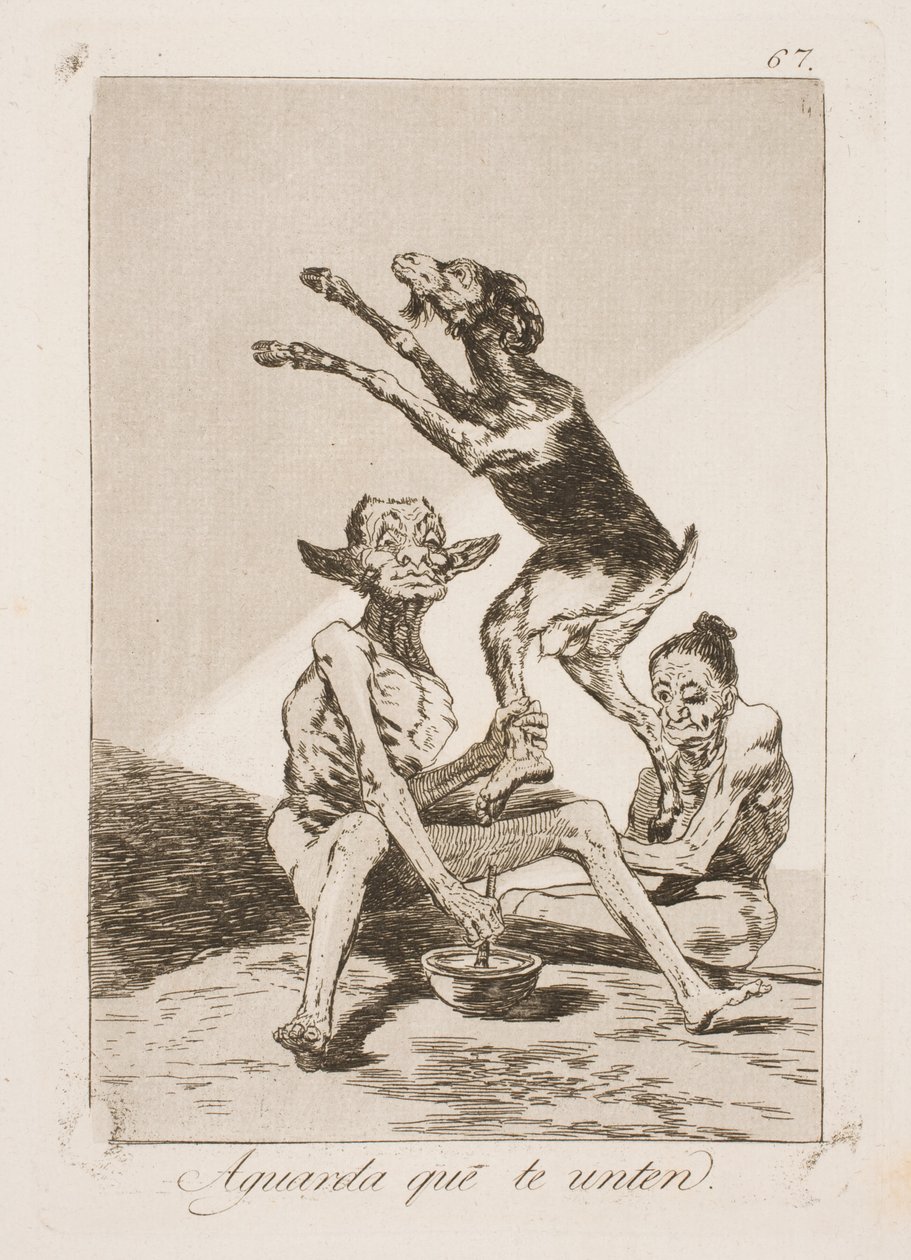 Wacht tot het is ingesmeerd met zalf door Francisco de Goya
