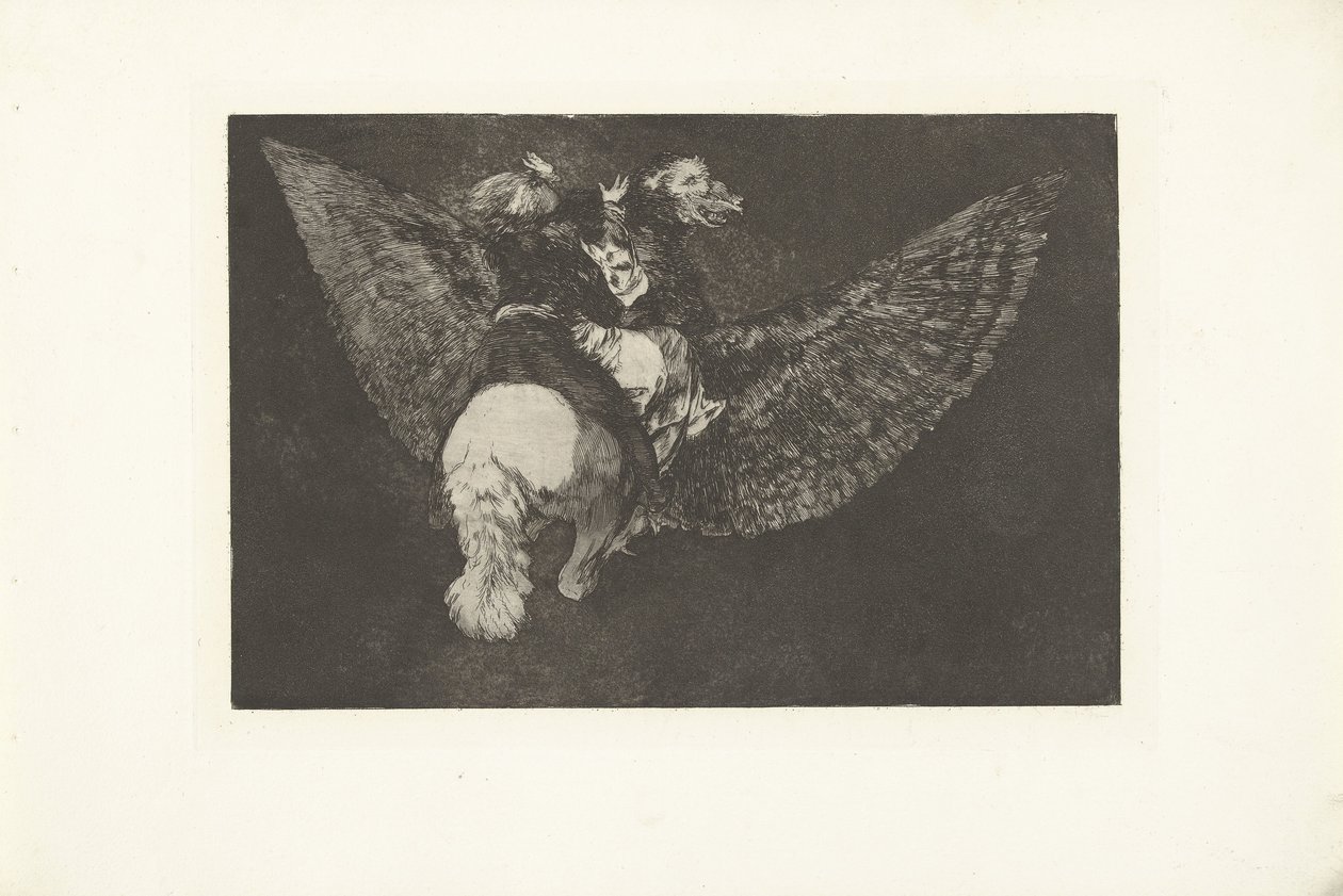 Vliegende dwaasheid door Francisco de Goya
