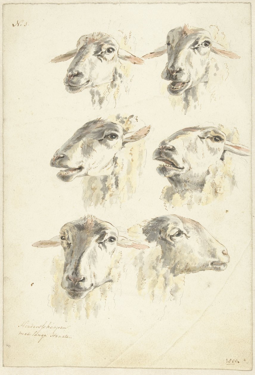 Studieblad met zes schaapskoppen door Franciscus Andreas Milatz (attributed to)