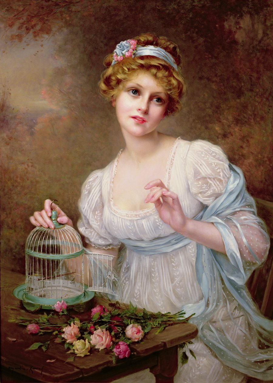 De lege vogelkooi door Francois Martin-Kavel