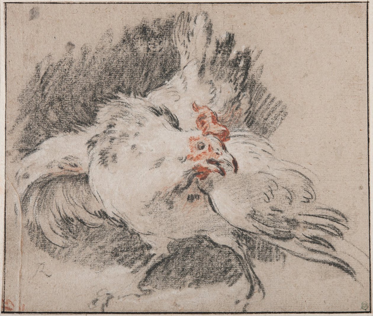 Studie van een haan door François Boucher