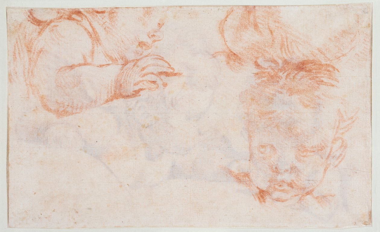 Drie jongenshoofden. Studies voor een deurpaneel in Amalienborg door François Boucher