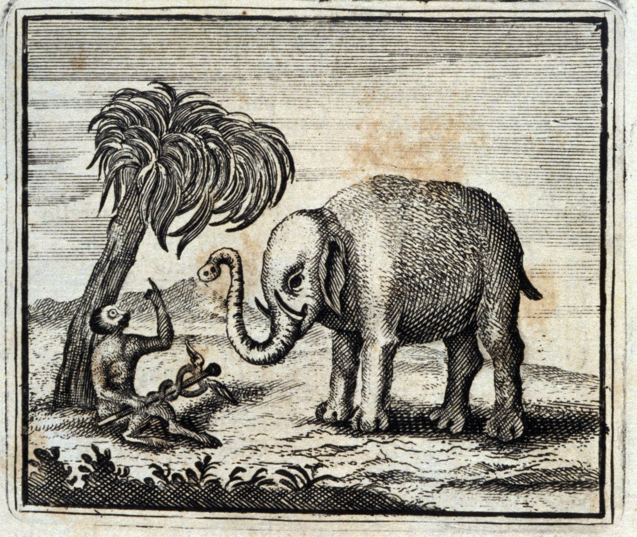 De olifant en de aap van Jupiter. Fabels door Jean de La Fontaine. Illustratie door François Chauveau. Editie van 1728 door Francois Chauveau