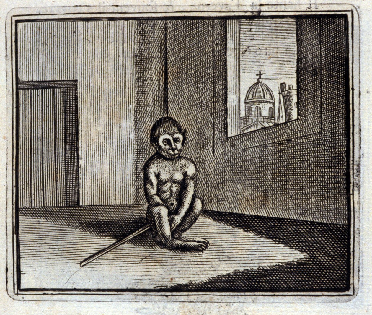De Aap door Francois Chauveau
