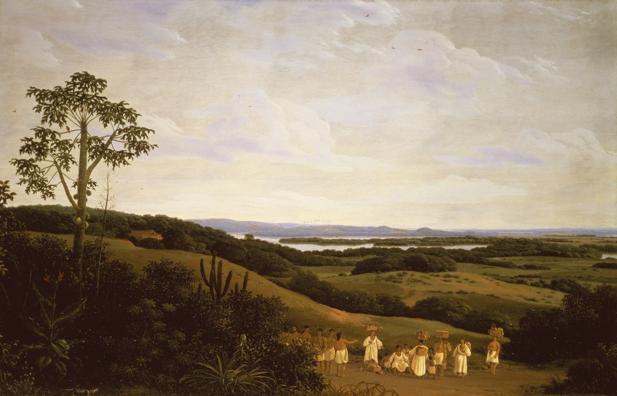 Panoramisch uitzicht in Brazilië met een rivier in de verte door Frans Post