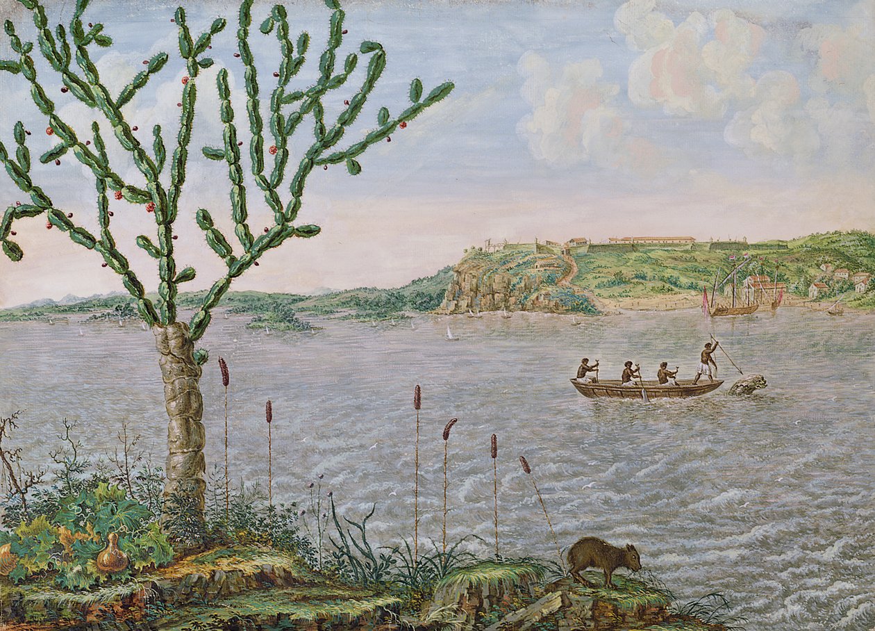 Uitzicht op Fort Maurice aan de Rio San Francisco door Frans Post
