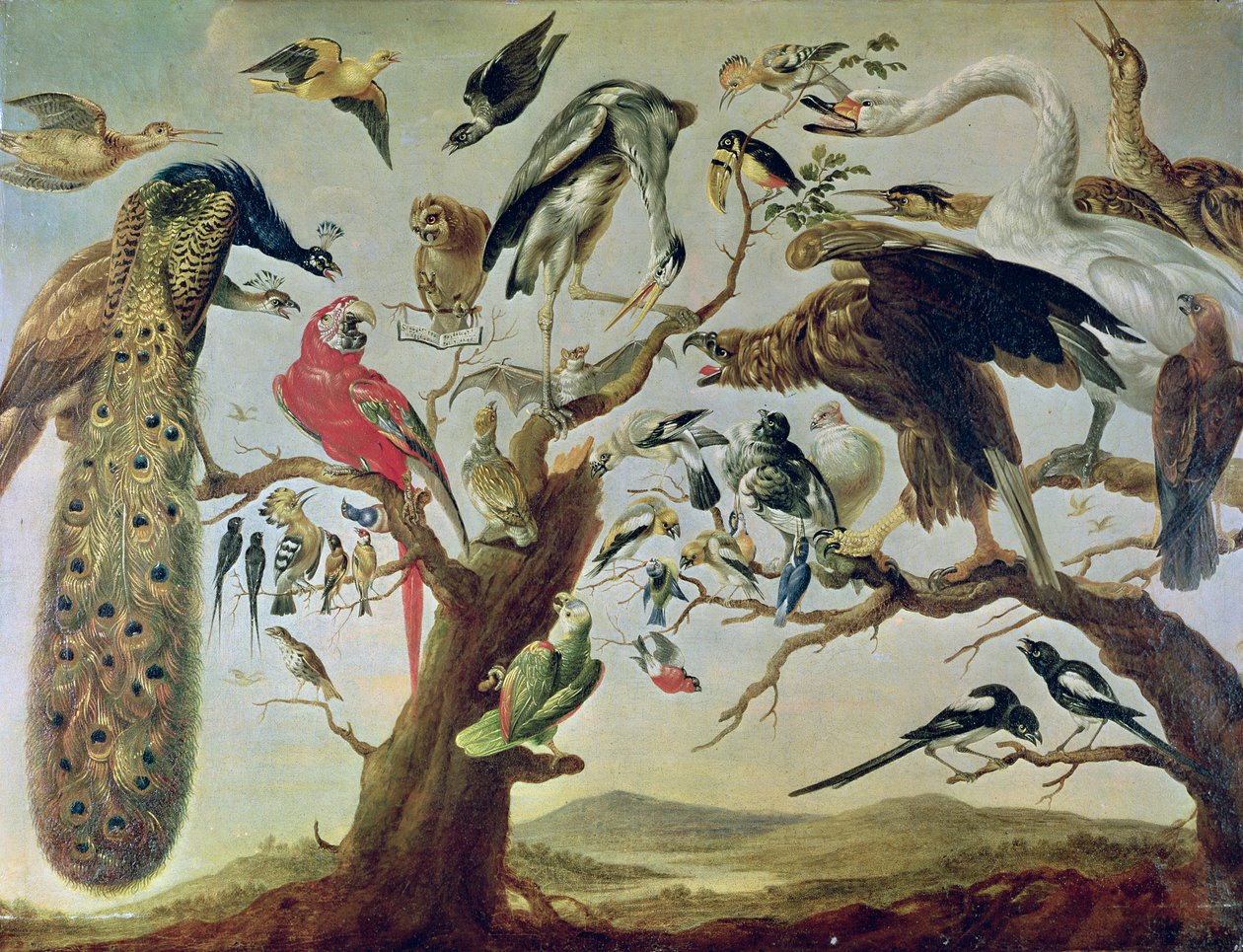 Het concert van de vogels door Frans Snyders or Snijders