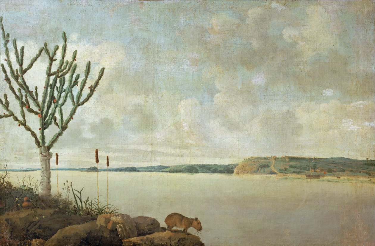Rio Sao Francisco en Fort Maurice, Brazilië ... door Frans Jansz Post