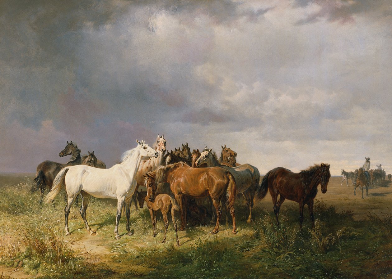 Paarden in de Puszta door Franz Adam