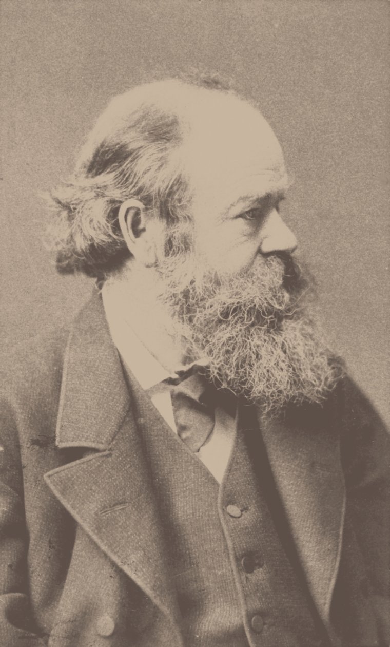 Portret van de componist Robert von Hornstein 1833-1890 door Franz Hanfstaengl