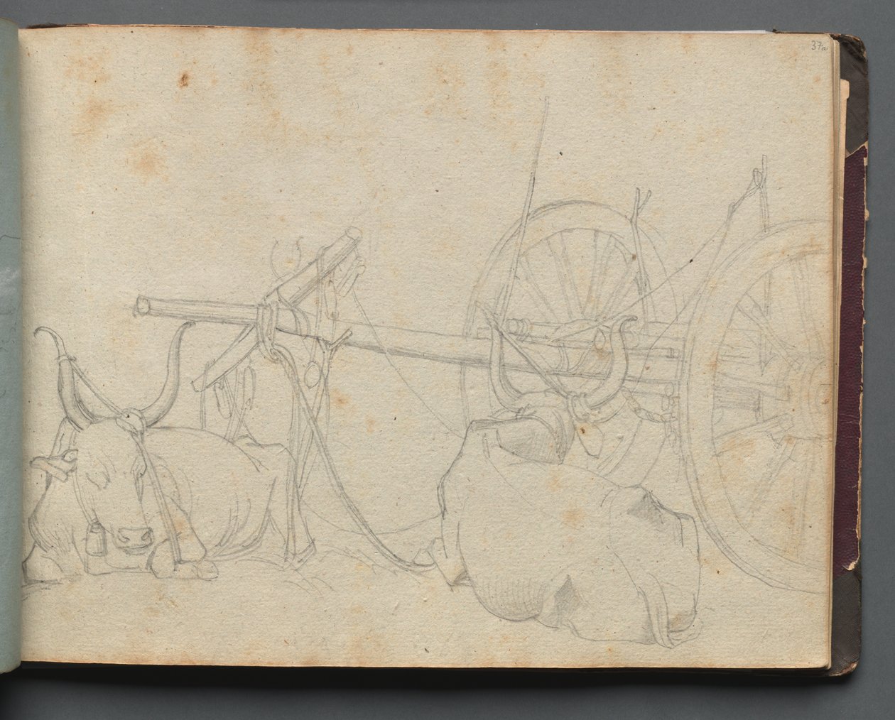 Album met Zichten op Rome en Omgeving, Landschapsstudies, pagina 37a: Ossen en Wagen door Franz Johann Heinrich Nadorp