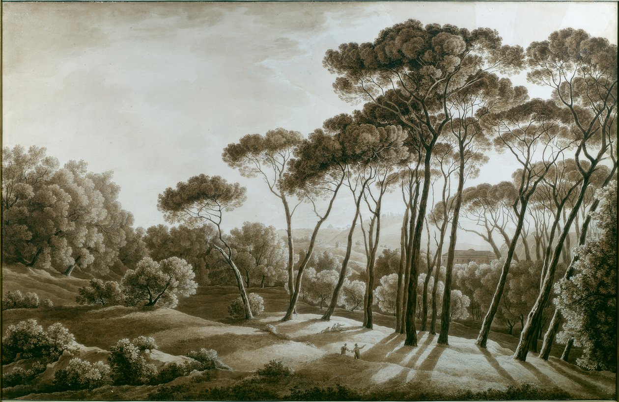 De pijnbomen van de Villa Doria Pamphili door Franz Kaisermann
