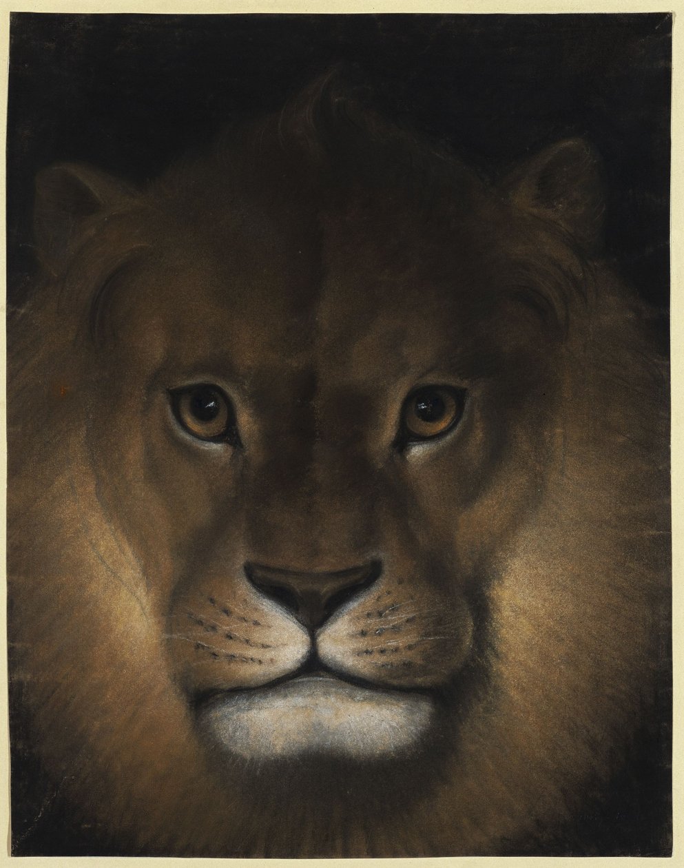 Leeuwenkop door Franz Krüger