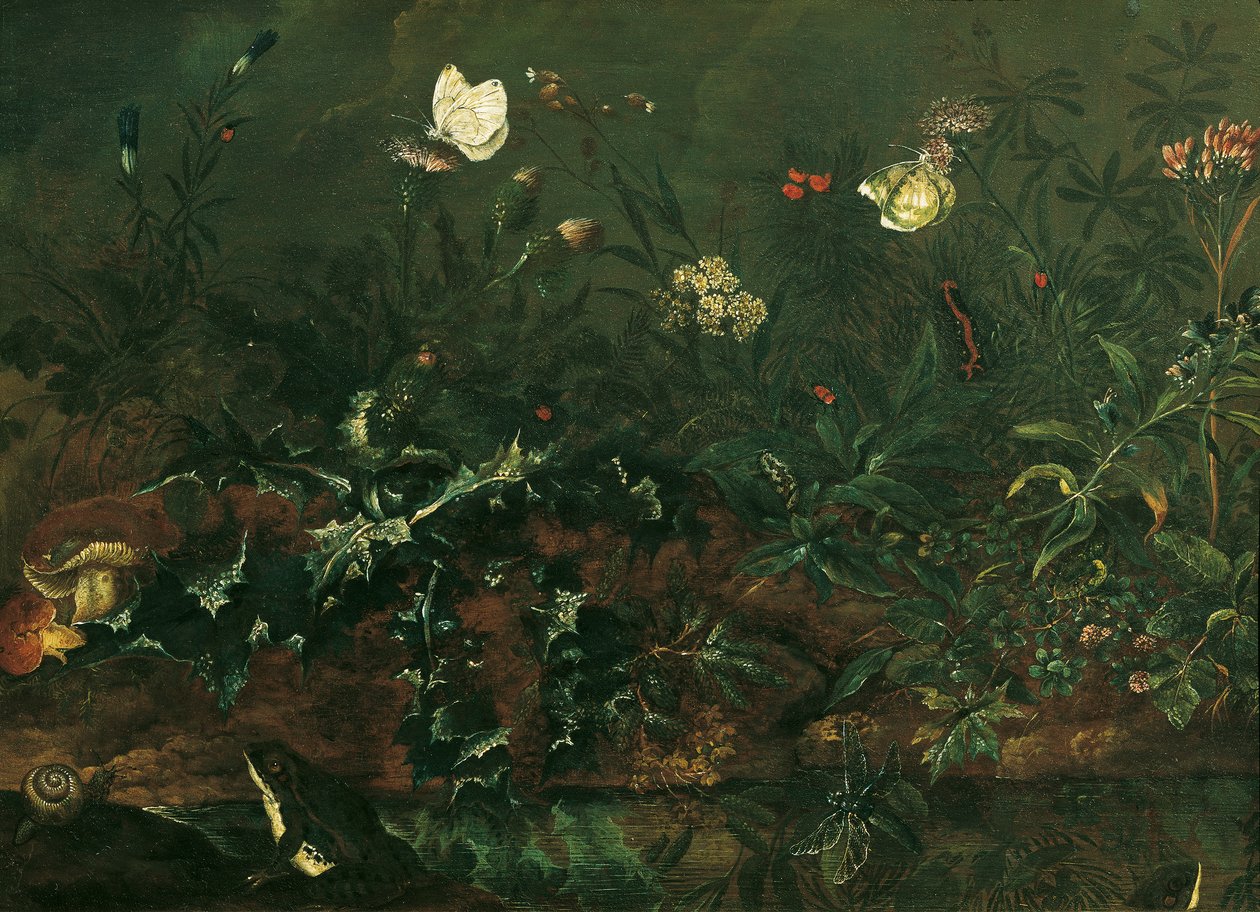 Grasstuk met Distel, Kikkers en Libelle door Franz Michael Siegmund von Purgau d. Ä.