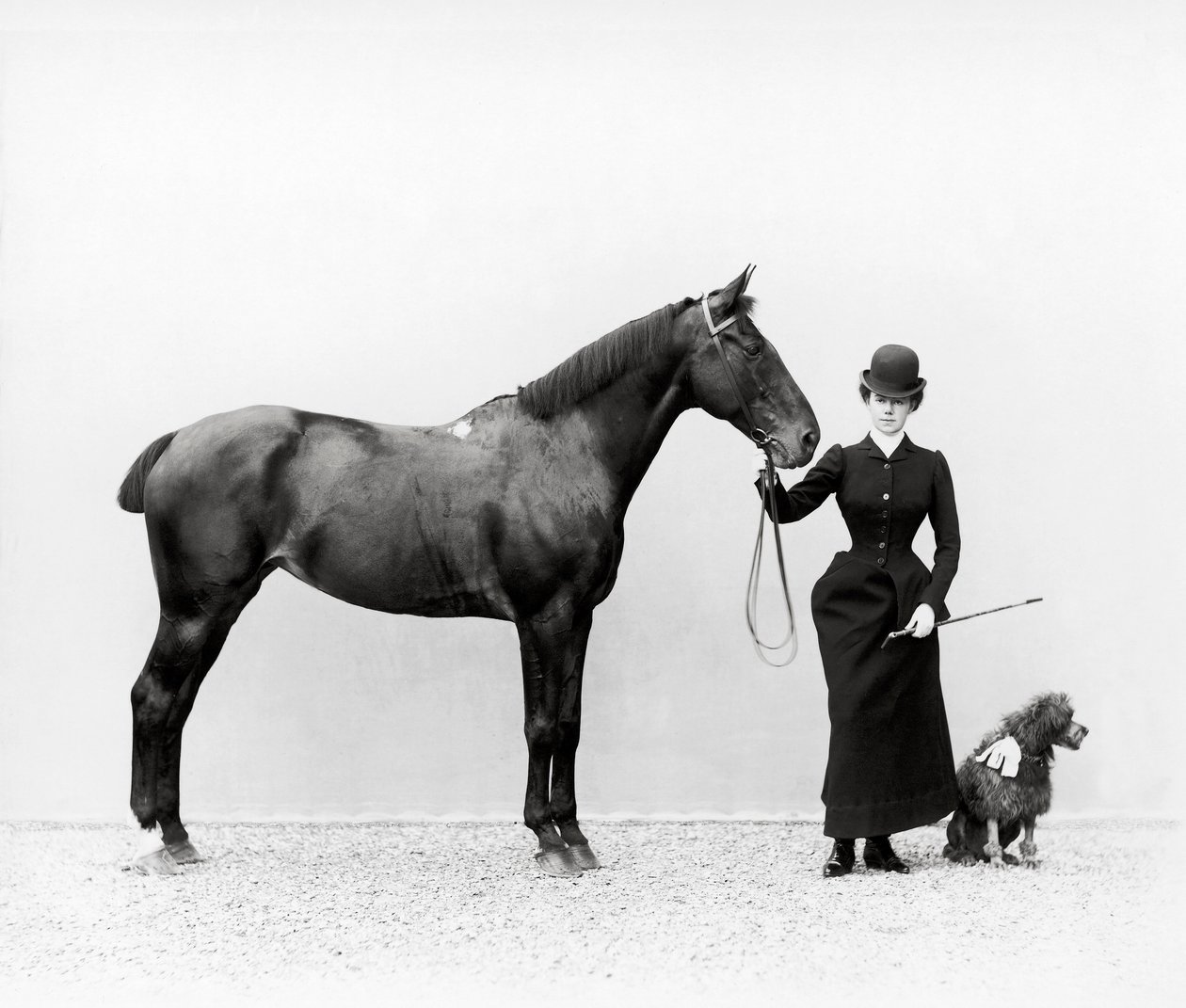 Portret van Miss Walsh met een paard en een miniatuur poedel bij Villa di Montefonte, in de Poggio Imperiale omgeving van Florence, c.1890 door Fratelli Alinari Fratelli Alinari