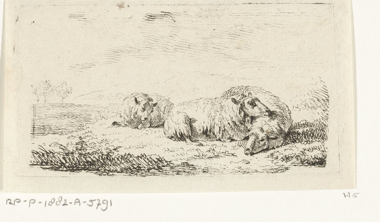 Drie schapen liggend in het gras door Frédéric Théodore Faber