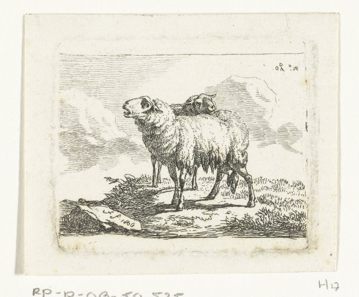 Twee staande schapen door Frédéric Théodore Faber