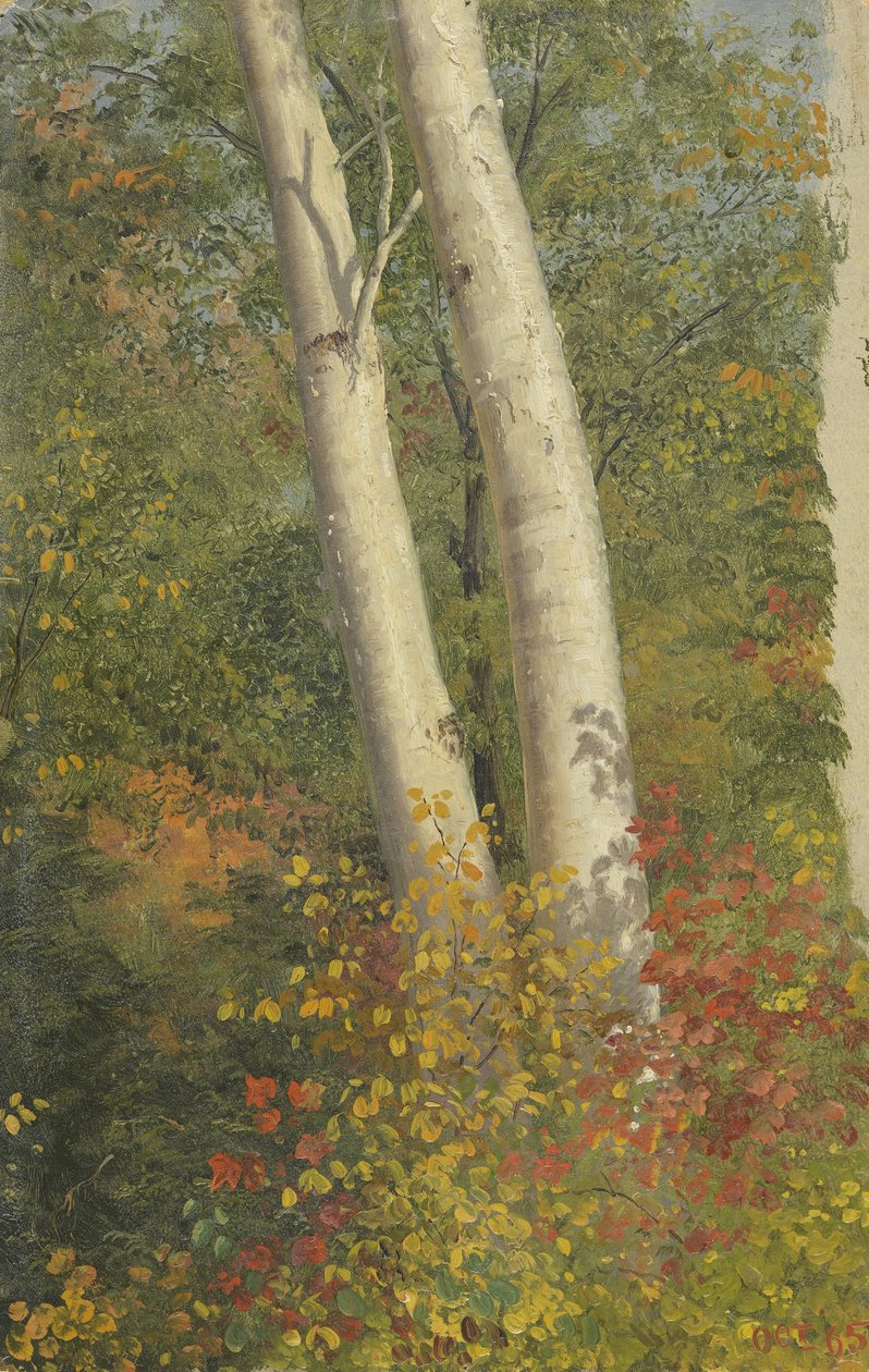 Berkbomen in de Herfst door Frederic Edwin Church