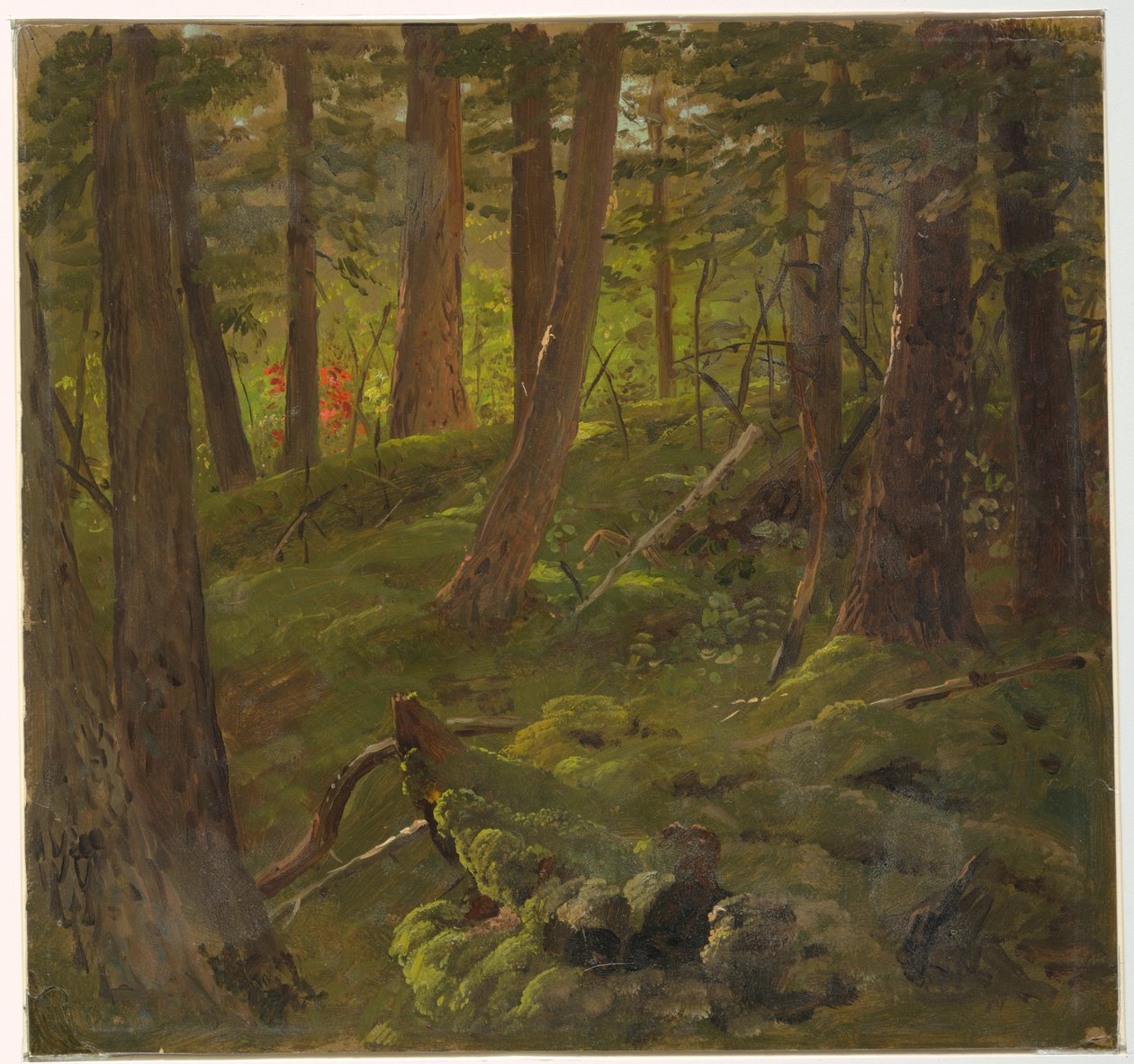 Tekening, Jungle Vegetatie, 1865 door Frederic Edwin Church