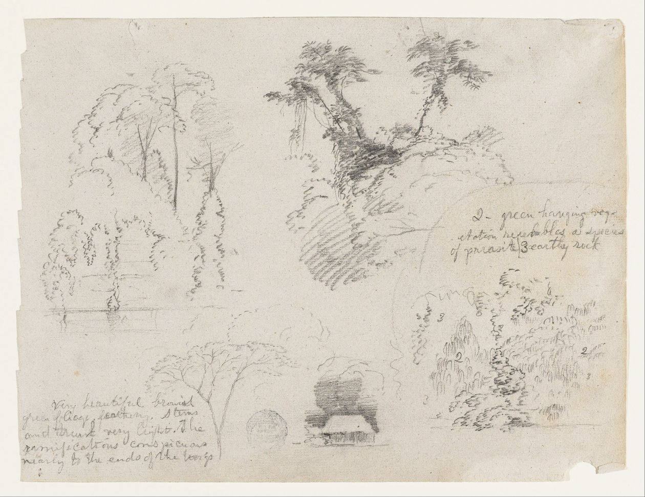 Schetsen uit Zuid-Amerika, waarschijnlijk uit Colombia. Botanische schetsen. Een huis. door Frederic Edwin Church